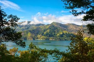 Queen Charlotte Track: End to End - 6 Days